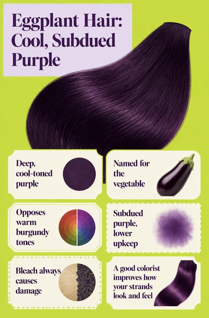 Beauty information graphic titled Eggplant Hair Cool Subdued Purple
