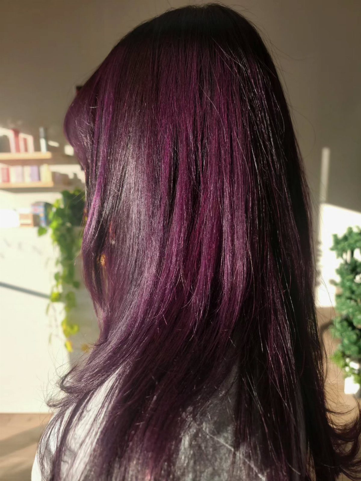 Long straight dark hair with plum-magenta lengths shown from behind in a salon