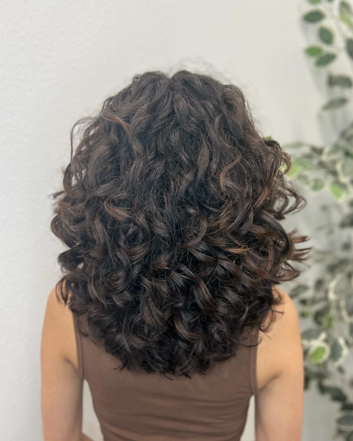 Rounded dark natural curls form a soft halo around the back of the head