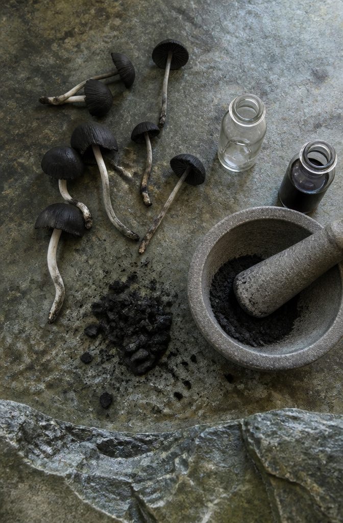 Black mushrooms beside a pestle and mortar and an empty vial