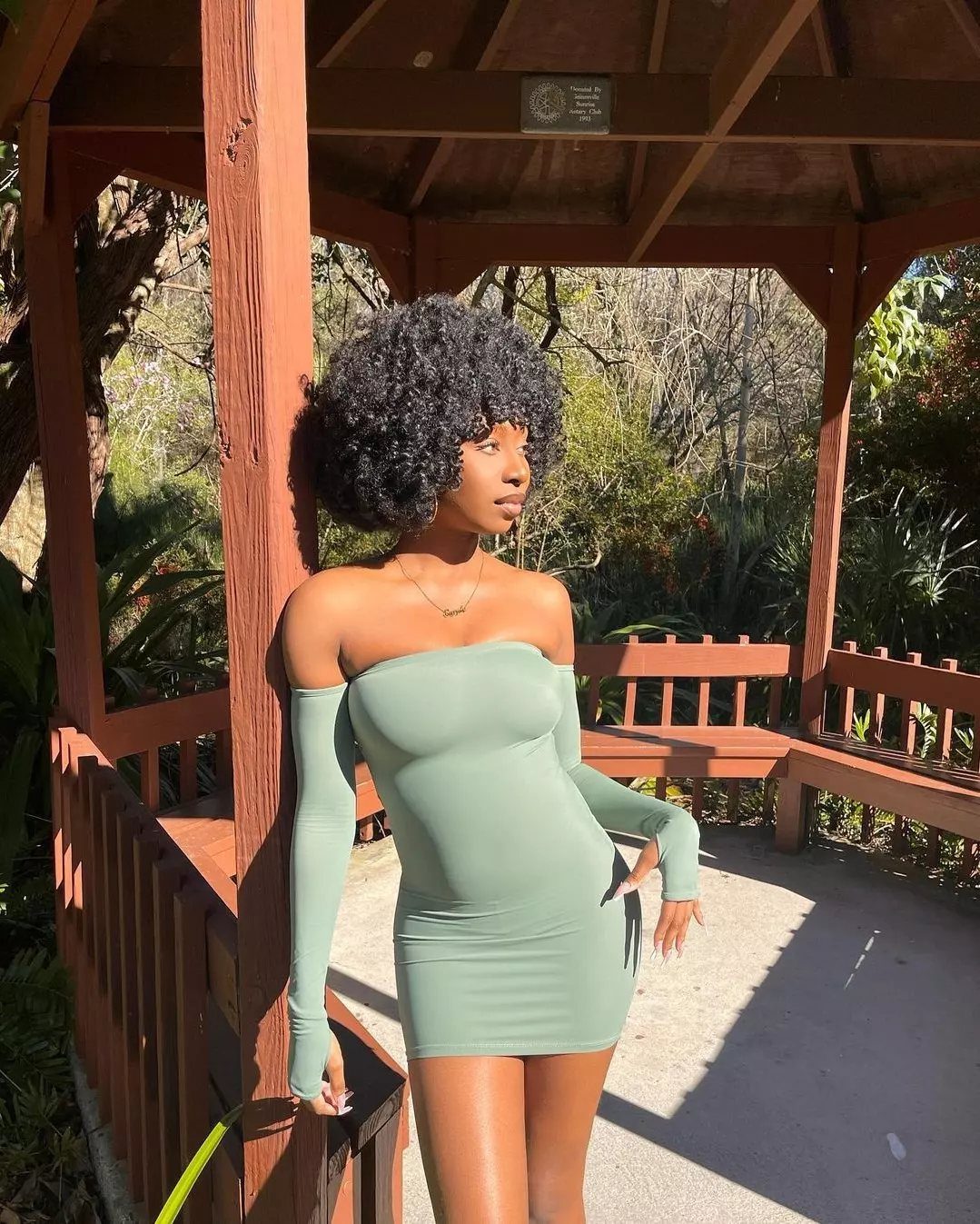 Woman with a medium-length natural afro posing in a pale green dress